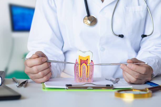Best Dental Abscess Treatment in Dixon, KY